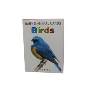 Kids Educational Flash Cards