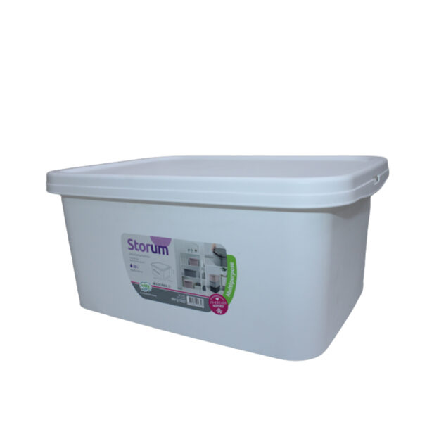 Storage Box With Lid