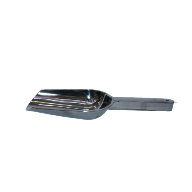 Plastic Silver Scoop