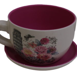 Teacup & Saucer Ceramic Planter