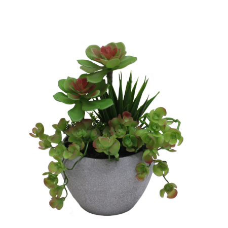 Artificial succulent plant in a pot