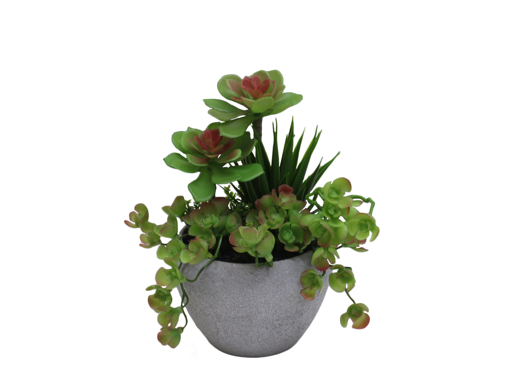 Artificial succulent plant in a pot