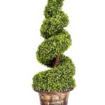 Dense evergreen shrub artificial plastic plant