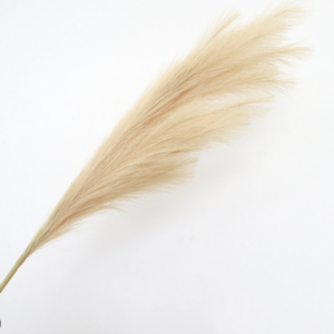 Artificial Pampas Grass