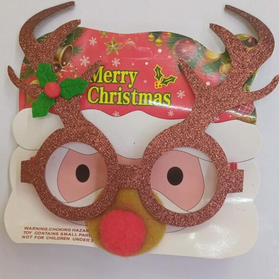 SANTA GOGGLES