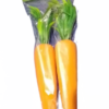Artificial Carrots