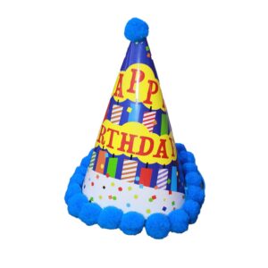 Birthday Party Hat