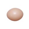 Artificial Egg