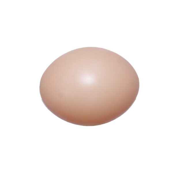 Artificial Egg