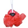 Shower Sponge
