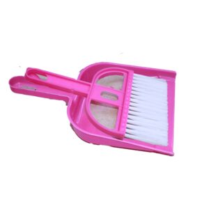 Dustpan With Brush Broom