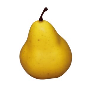 Artificial Fruit
