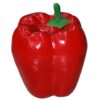 Artificial Vegetable