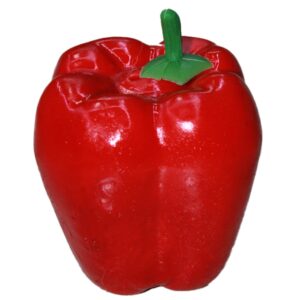 Artificial Vegetable