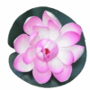 Artificial Floating Lotus Flower