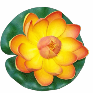 Artificial Floating Lotus Flower