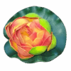 Artificial Floating Lotus Flower