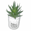 Artificial Cactus plant in a glass vase