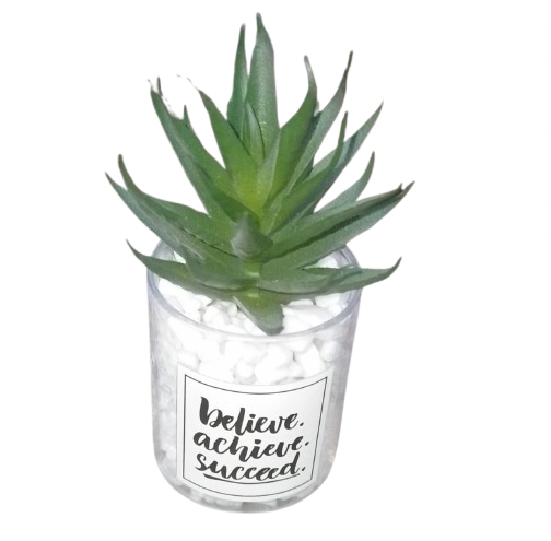 Artificial Cactus plant in a glass vase