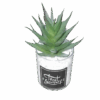 Artificial Cactus plant in a glass vase