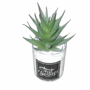 Artificial Cactus plant in a glass vase