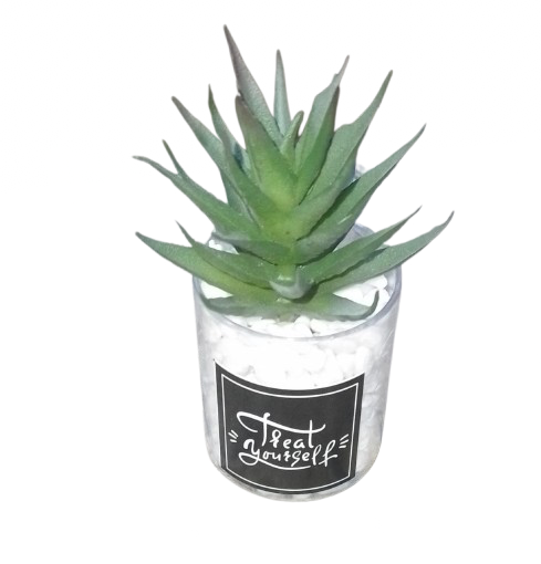 Artificial Cactus plant in a glass vase