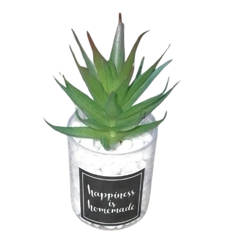 Artificial Cactus plant in a glass vase