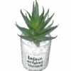 Artificial Cactus plant in a glass vase