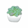 Artificial Cactus Plant In A Ceramic Vase