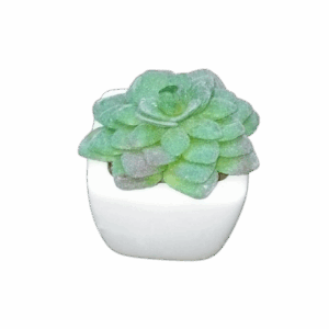 Artificial Cactus Plant In A Ceramic Vase