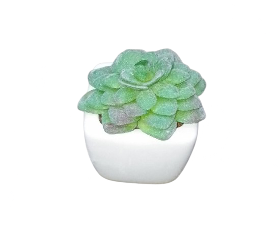 Artificial Cactus Plant In A Ceramic Vase