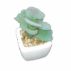 Artificial Cactus Plant In A Ceramic Vase