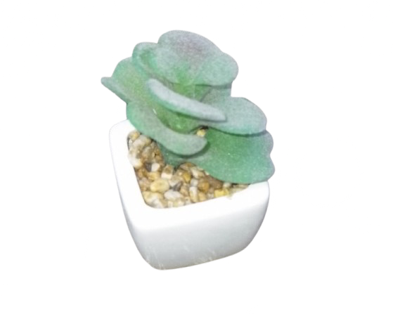 Artificial Cactus Plant In A Ceramic Vase