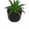 Artificial Cactus Plant In A Ceramic Vase
