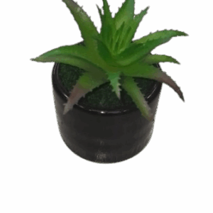 Artificial Cactus Plant In A Ceramic Vase