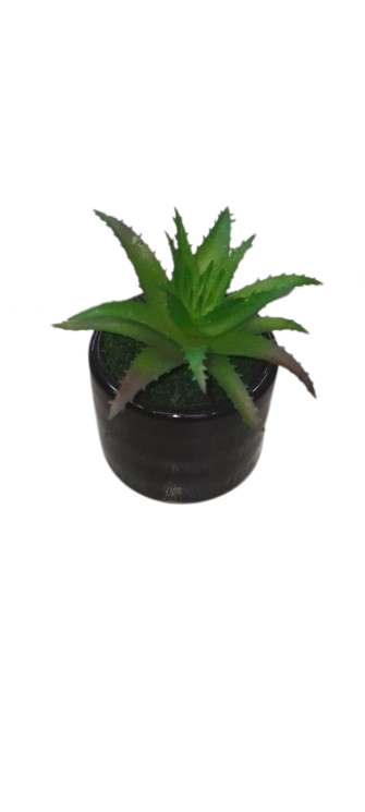 Artificial Cactus Plant In A Ceramic Vase