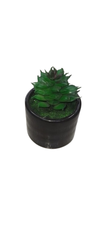 Artificial Cactus Plant In A Ceramic Vase