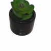 Artificial Cactus Plant In A Ceramic Vase