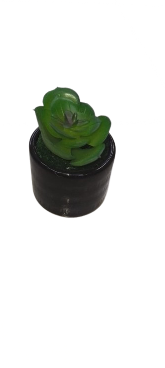 Artificial Cactus Plant In A Ceramic Vase