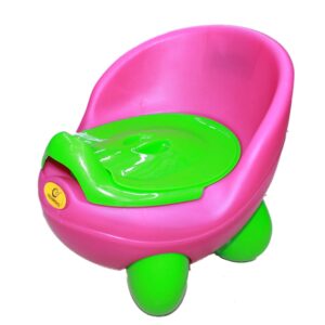 Toddler Potty Seat