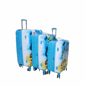 Colorful  Suitcase(small)