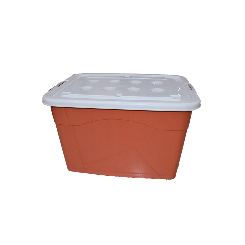 Large-Capacity Plastic Storage
