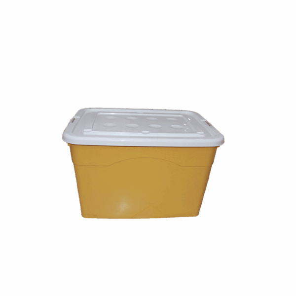 Large-Capacity Plastic Storage