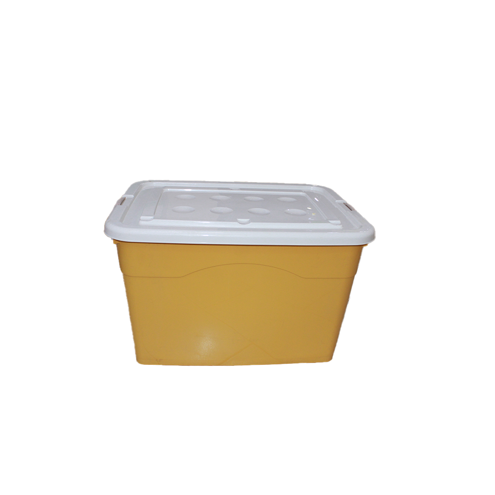 Large-Capacity Plastic Storage