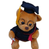 Graduation Teddy Bear