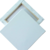 Blank Canvas 20 by 20