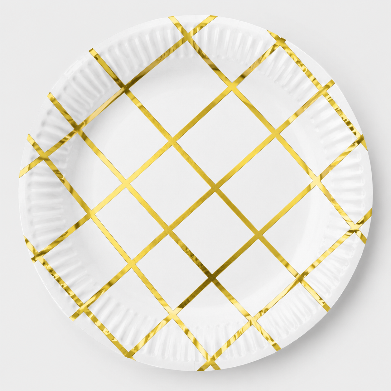 Disposable Plates ( 10pcs)