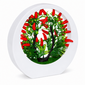Decorative Chilli plant/Centerpiece