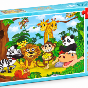 JigSaw Puzzle(300pcs)